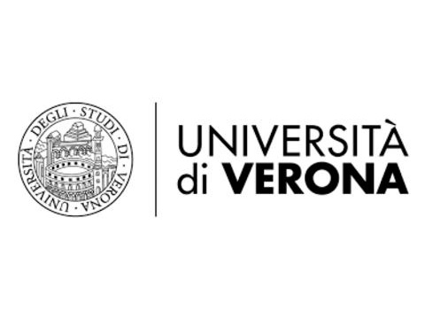 University of Verona — university translation projects
