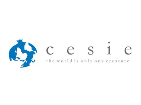 CESIE — cultural and nonprofit content