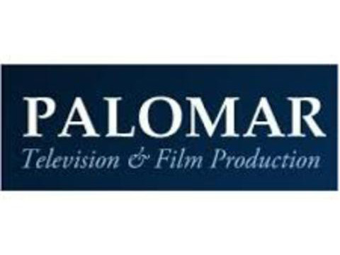 Palomar — audiovisual translation and script adaptation